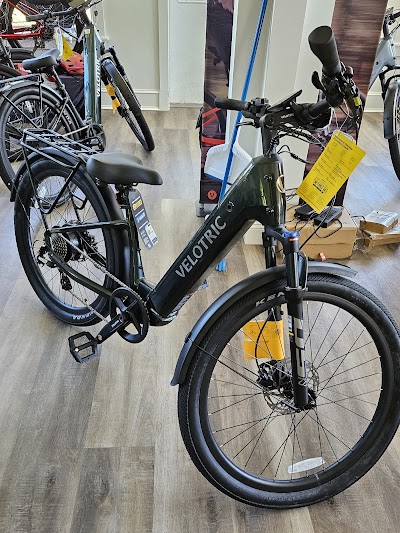 Andy's Ebikes LLC in Galloway, NJ: image 3