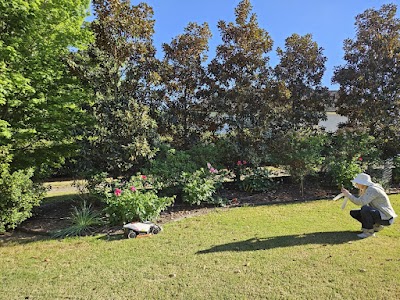 Auto Mow LLC in Cary, NC: image 9