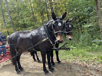Bentley Bros, Inc. in Albion, NY: image 1