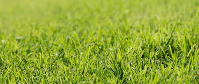 Country Turf & Trail LLC in Sunbury, PA: main image