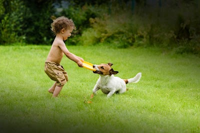 Good Nature Organic Lawn Care in Cleveland, OH: image 3