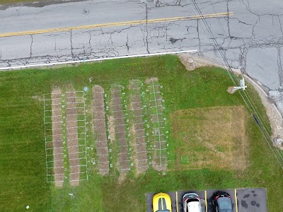 Good Nature Organic Lawn Care in Cleveland, OH: image 6