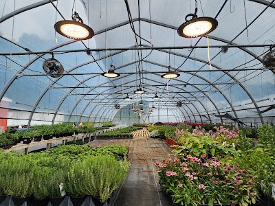 The Green Team in Canastota, NY: image 3