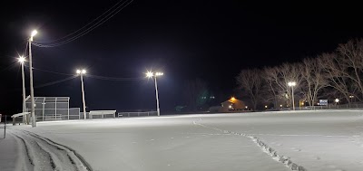 The Green Team in Canastota, NY: image 5