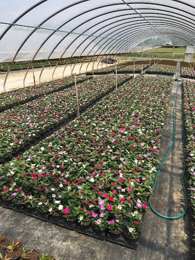 Tidewater Mulch & Material, Inc. in CHESAPEAKE, VA: image 2