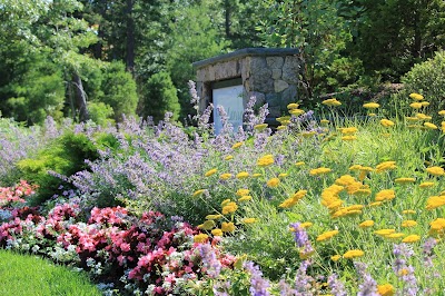 Vetelino Landscape, Inc. in Pembroke, MA: main image