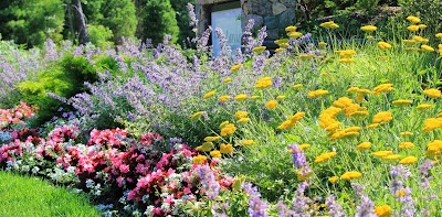 Vetelino Landscape, Inc. in Pembroke, MA: image 7